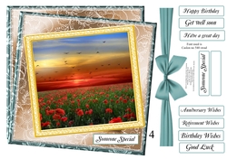NEW STASH TOP UP POPPIES AT SUNSET