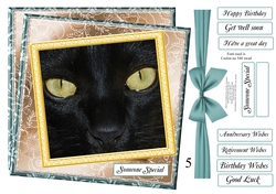 NEW STASH TOP UP BLACK CAT
