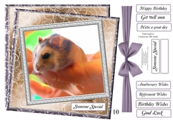 NEW STASH TOP UP HAMSTER