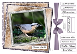 NEW STASH TOP UP NUTHATCH