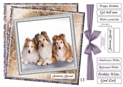 NEW STASH TOP UP COLLIES