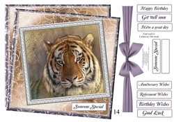 NEW STASH TOP UP TIGER