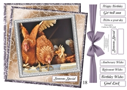 STASH TOP UP 18 CHICKENS
