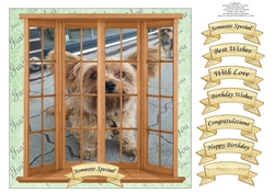 YORKIES ROOM WITH A ZOO