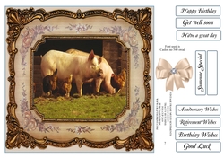 VINTAGE FRAME PIGS n CHICKENS