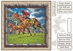 MALE MULTI SENTIMENTS - HORSE RACING
