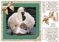 MALE MULTI SENTIMENTS - SWAN & SIGNETS