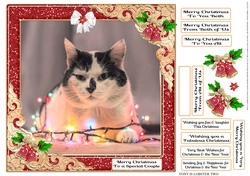 GLITZY CHRISTMAS MULTI SENTIMENTS 2