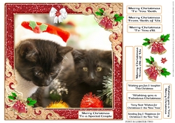 GLITZY CHRISTMAS MULTI SENTIMENTS 7