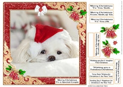 GLITZY CHRISTMAS MULTI SENTIMENTS 10