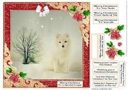 GLITZY CHRISTMAS MULTI SENTIMENTS 15