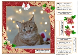 GLITZY CHRISTMAS MULTI SENTIMENTS 20