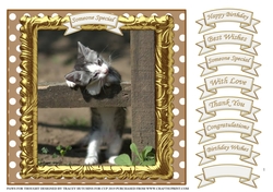 PAWS FOR THOUGHT 1 ( MULTI SENTIMENT )