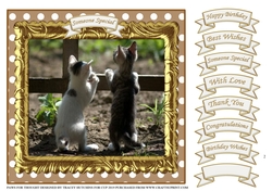 PAWS FOR THOUGHT 2 ( MULTI SENTIMENT )
