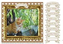 PAWS FOR THOUGHT 6 ( MULTI SENTIMENT )