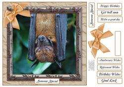 BAT 2 MULTI SENTIMENTS