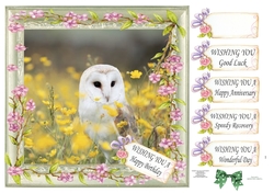 WISHING YOU MULTI SENTIMENTS BARN OWL