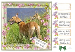 WISHING YOU MULTI SENTIMENTS GREYHOUNDS