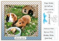RELAX AND ENJOY SUMMER MULTI SENTIMENTS GUINEA PIGS