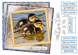 MIX n MATCH SENTIMENTS 5 DUCKLINGS