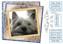 MIX n MATCH SENTIMENTS WONDERING WESTIE