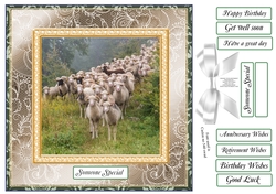 CHOOSE YOUR SENTIMENT SHEEP ON THE HILL