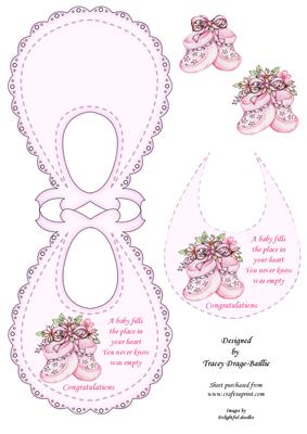 Baby Girl Bib & Bootees