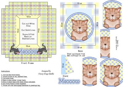 Kitten Thru the Porthole Picture Framed Card