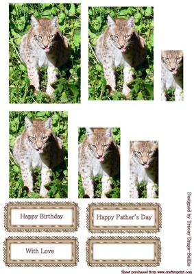 Lynx in Grass