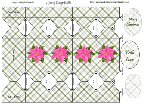 Pink Poinsettia Cracker
