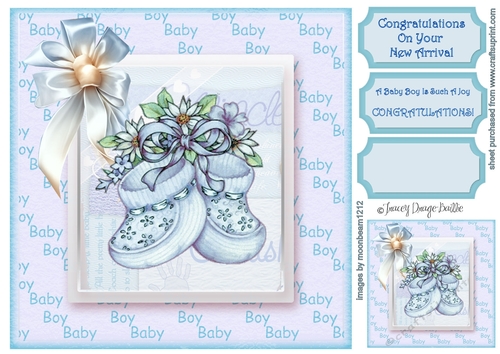 New Baby Boy Booties