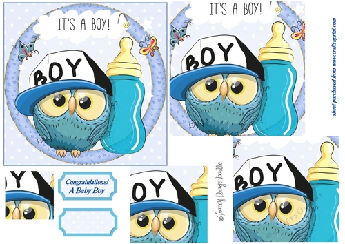 New Baby Owl 2