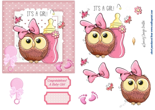 New Baby Owl 3