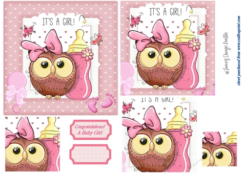 New Baby Owl 4