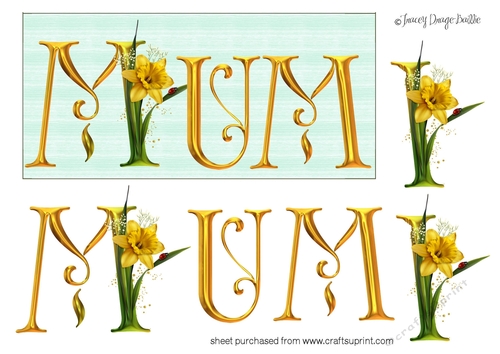 Daffodil DL - MUM