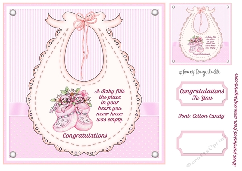 Baby Girl Bib & Bootees 2