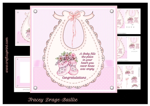 Baby Girl Bib & Bootees 2 Kit