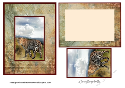 5 x 7 Card Topper 2 With Insert
