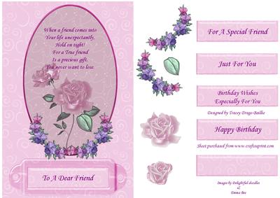 Framed Pink Rose