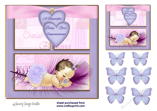 New Baby Girl in Lilac -  2