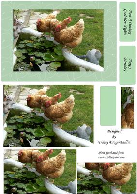The Hens Watering Hole