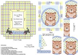 Kitten Thru the Porthole Picture Framed Card