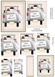Just Married in the Car
