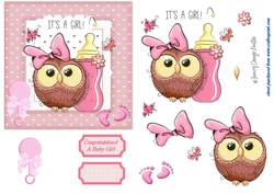 New Baby Owl 3