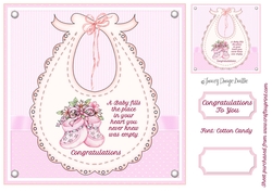 Baby Girl Bib & Bootees 2