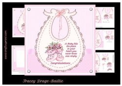 Baby Girl Bib & Bootees 2 Kit