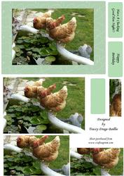 The Hens Watering Hole