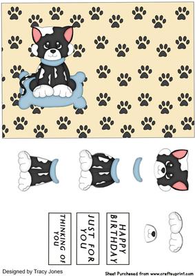 Cat with Background of Paws