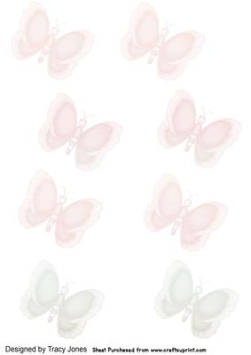 Beautiful Butterfly