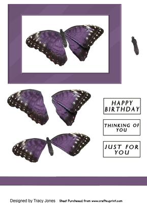 Purple Butterfly